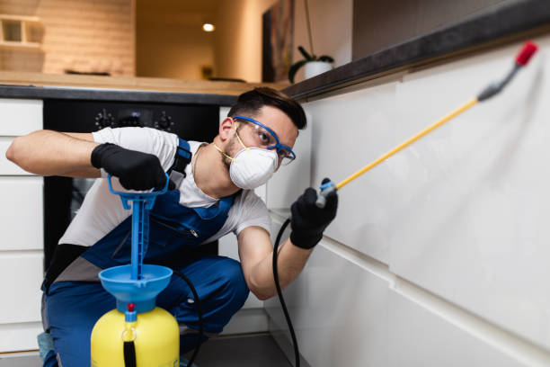 Reliable Spring Grove, PA Pest Control Solutions